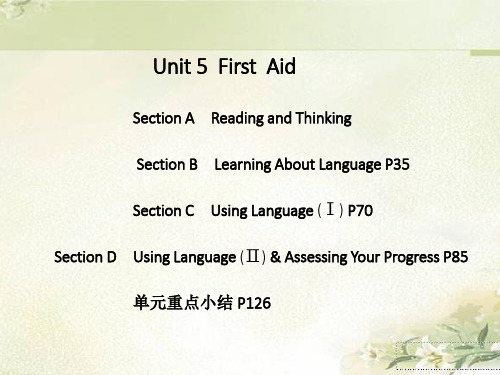 新教材 人教版高中英语选择性必修第二册 Unit 5 First Aid 精品教学课件(共134页)