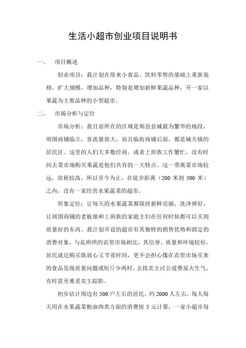 创业项目说明书