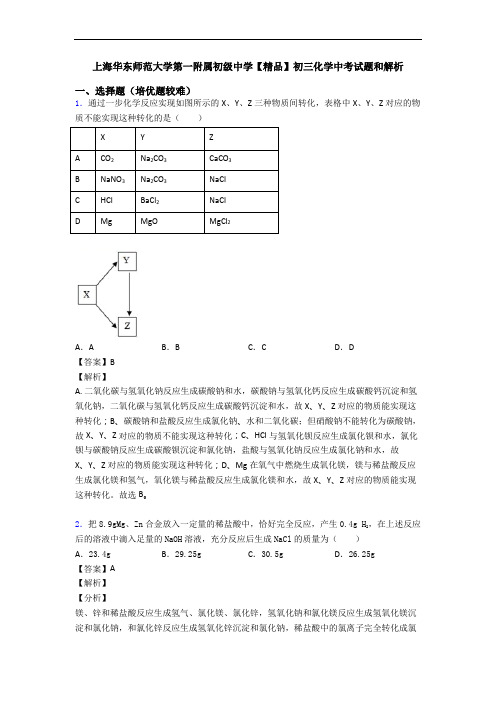 上海华东师范大学第一附属初级中学【精品】初三化学中考试题和解析