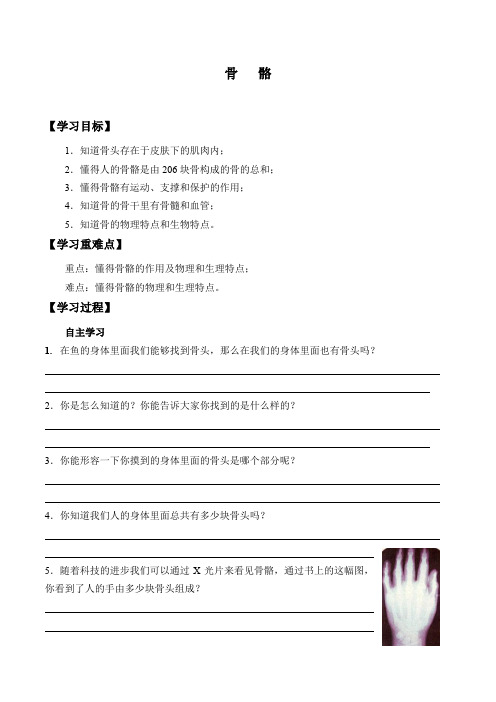 三年级下册科学学案-16 骨骼 -青岛版(2001)(无答案)