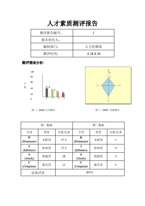 DISC模板-经理测试报告