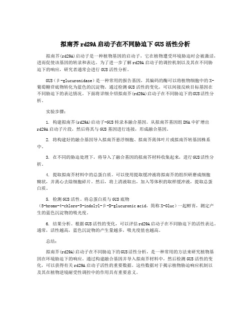 拟南芥rd29A启动子在不同胁迫下GUS活性分析