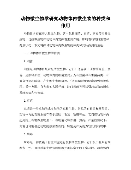动物微生物学研究动物体内微生物的种类和作用