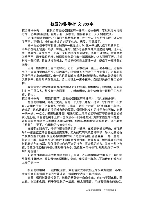 校园的梧桐树作文300字_作文300字