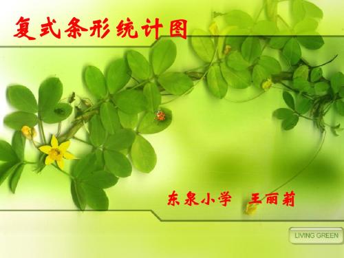 复式条形统计图