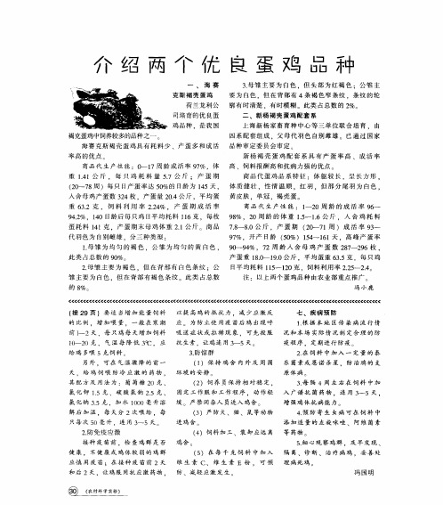 介绍两个优良蛋鸡品种