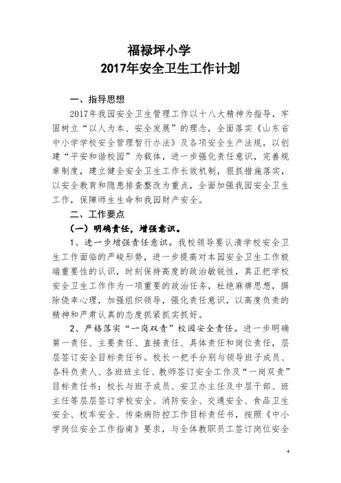 2017安全卫生工作计划要点