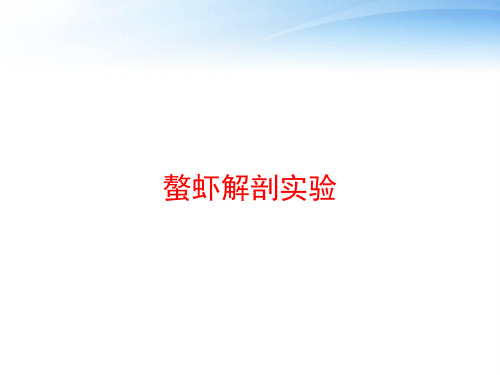 螯虾解剖实验 ppt课件