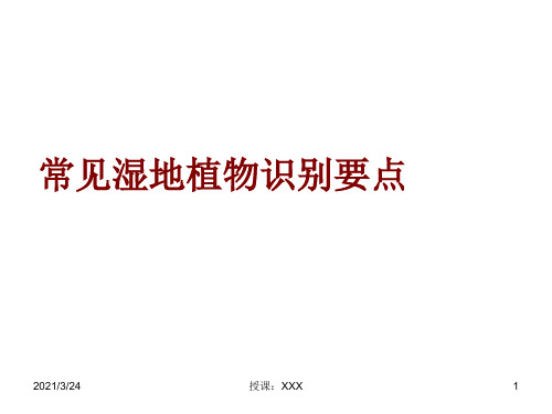 常见水生植物PPT课件