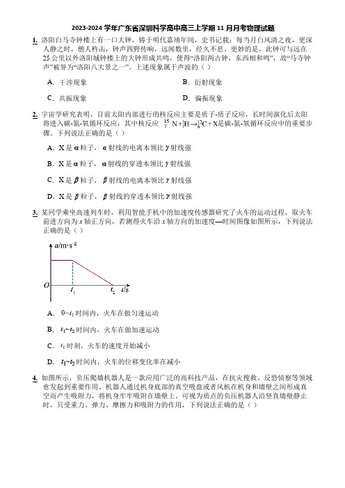 2023-2024学年广东省深圳科学高中高三上学期11月月考物理试题