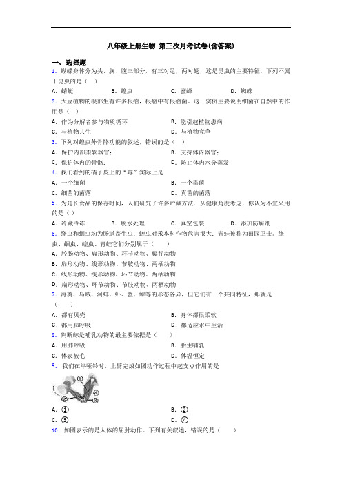 八年级上册生物 第三次月考试卷(含答案)