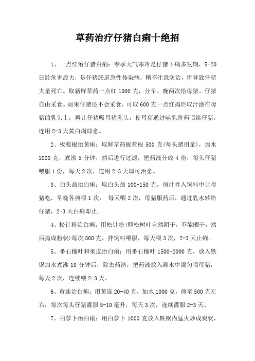 草药治疗仔猪白痢十绝招