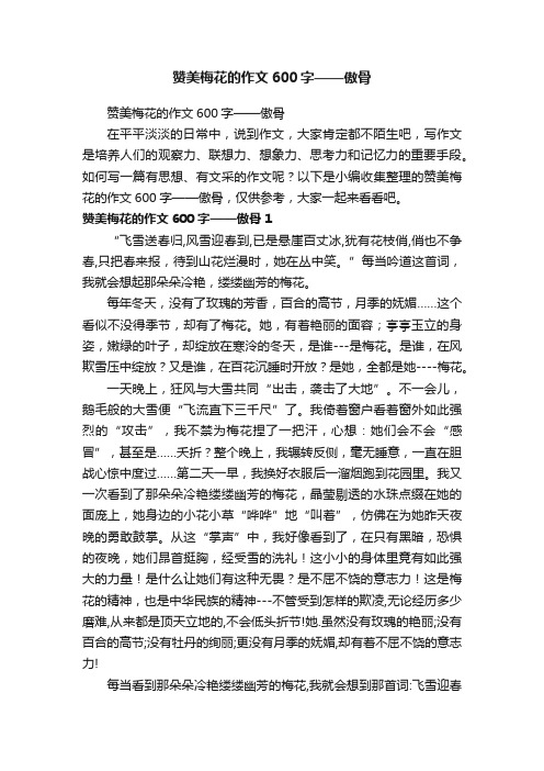 赞美梅花的作文600字——傲骨