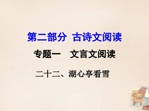 《湖心亭看雪》中考复习ppt课件