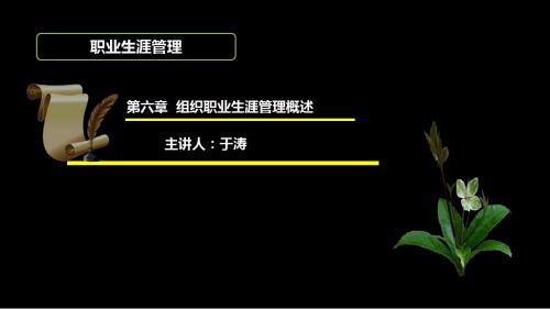 职业生涯管理第六章