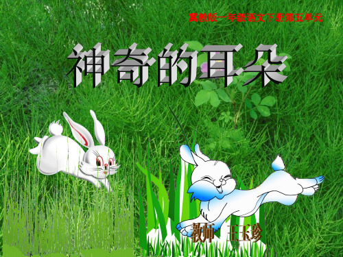 一年级下语文课件神奇的耳朵_冀教版