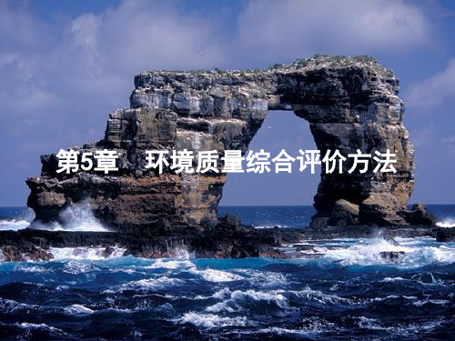 第5章环境质量综合评价方法