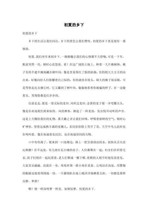 初夏的乡下_初中初一作文600字
