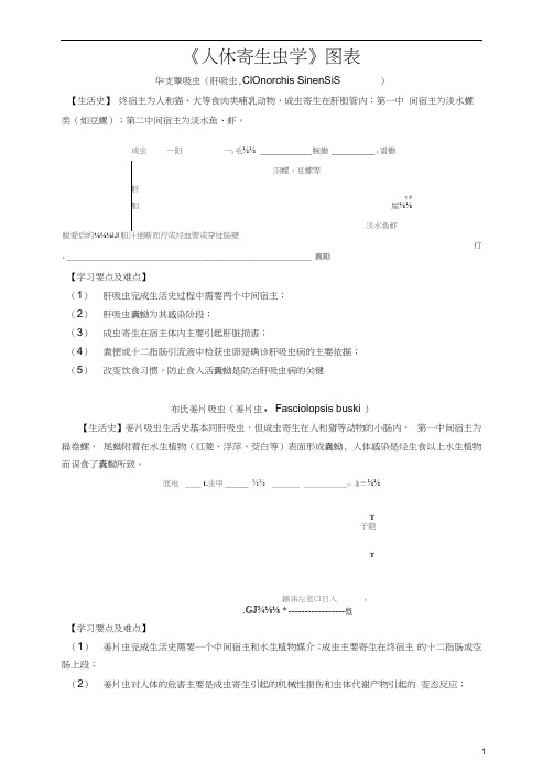 人体寄生虫学生活史图
