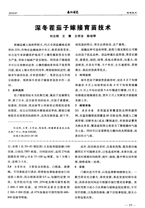 深冬茬茄子嫁接育苗技术