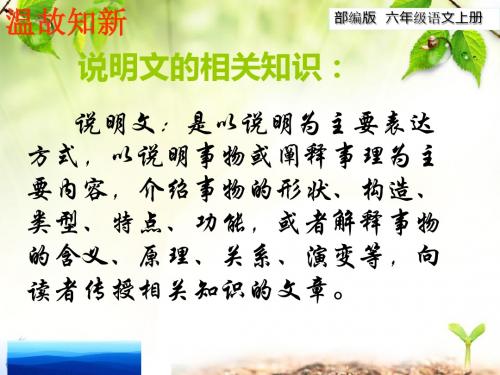 2019年秋新编部编版语文六年级上册第11课《故宫博物院》ppt教学课件