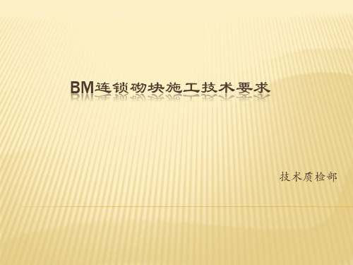 BM连锁砌块施工