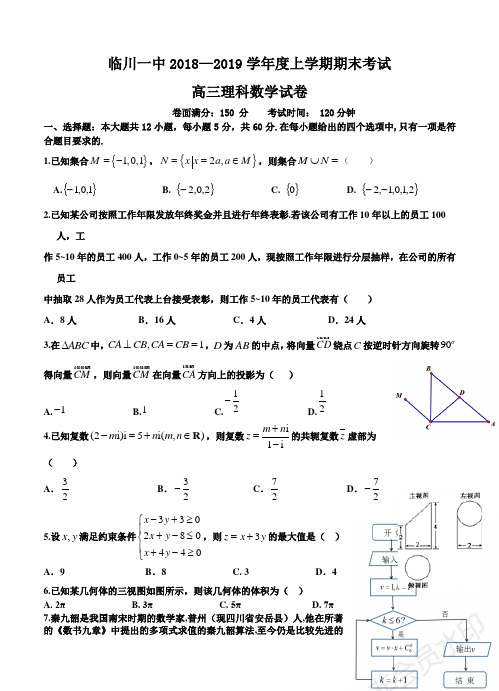 江西省临川第一中学2019届高三上学期期末考试数学(理)试卷及答案