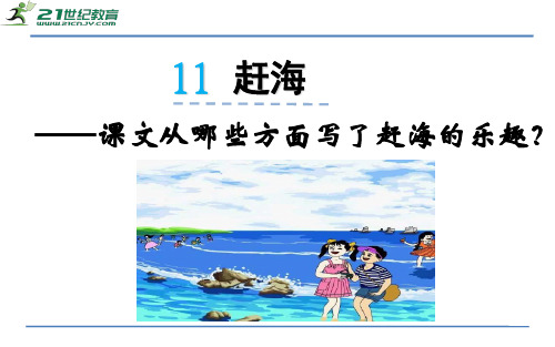 苏教版小学语文三年级下册：11赶海(1)课件