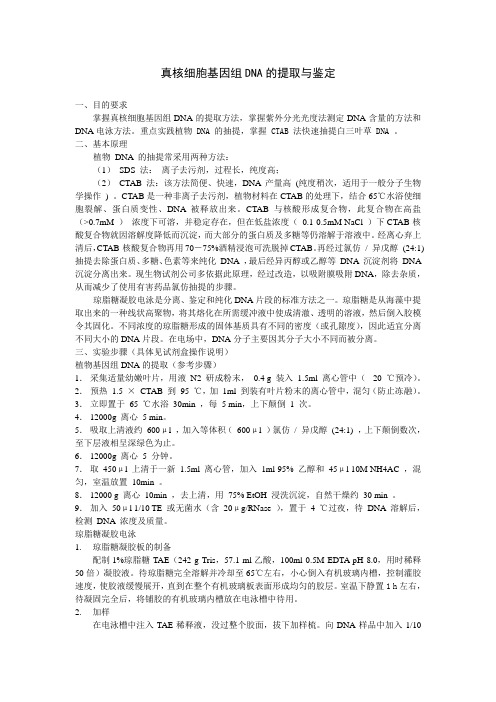 真核细胞基因组DNA的提取与鉴定