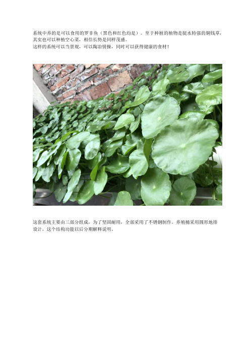 家庭鱼菜共生系统介绍