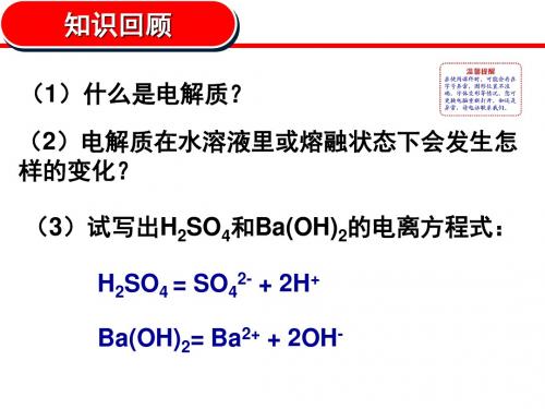电解质在水溶液中的反应