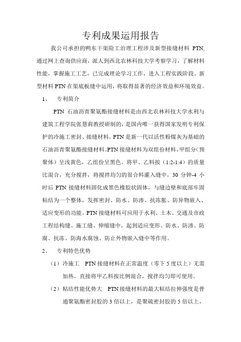 PTN专利成果运用报告