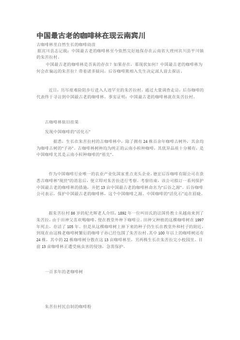 中国最古老的咖啡林在云南宾川