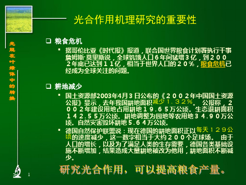 【生物课件】光能在叶绿体中的转换