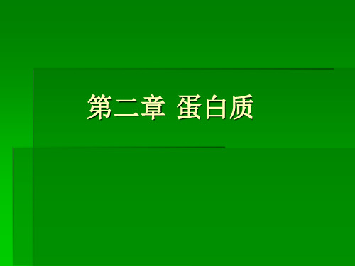 第二章 蛋白质