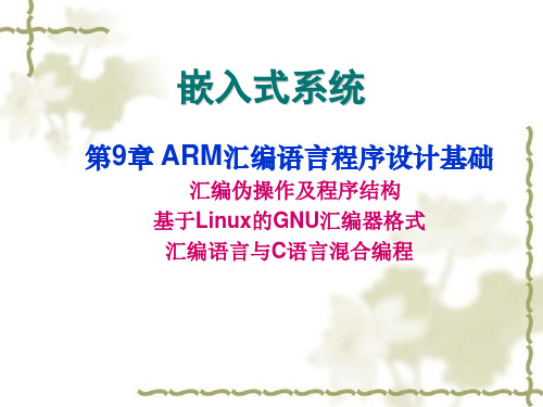 ARM汇编语言程序设计基础