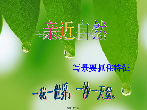 亲近自然――写景要抓住特征(与“景物”相关文档)共17张PPT