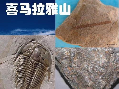 专题5  板块运动