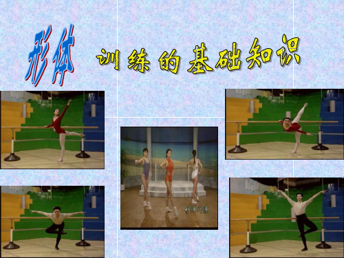 形体训练基础知识