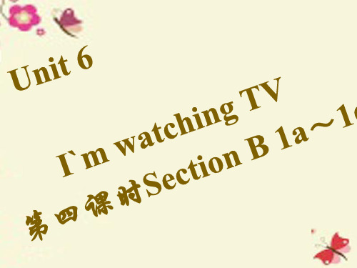 【四清导航】七年级英语下册 Unit 6 I’m watching TV(第4课时)Section B(1a-1e)课件