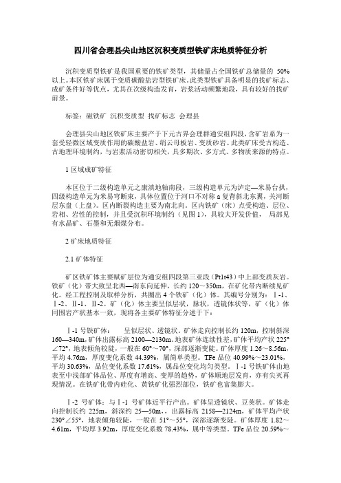 四川省会理县尖山地区沉积变质型铁矿床地质特征分析