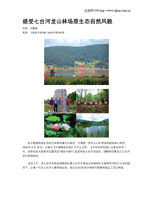 感受七台河龙山林场原生态自然风貌