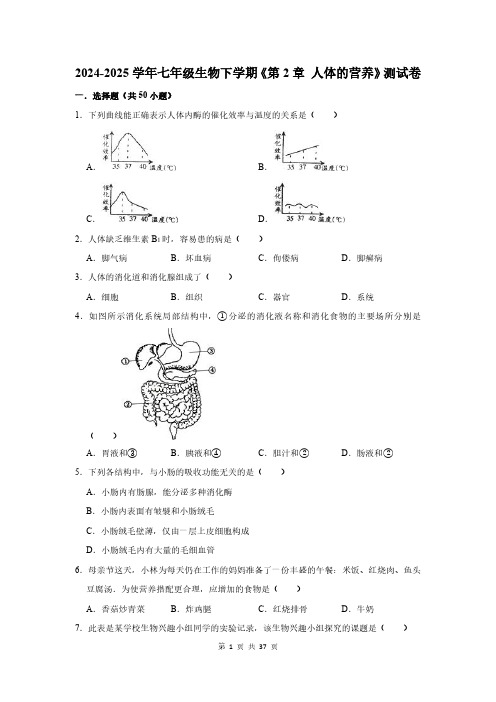 2024-2025学年七年级生物下学期《第2章 人体的营养》测试卷及答案解析