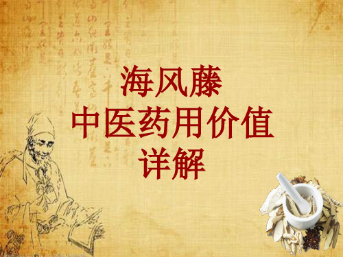 中药学_海风藤_药材详解课件模板_性味