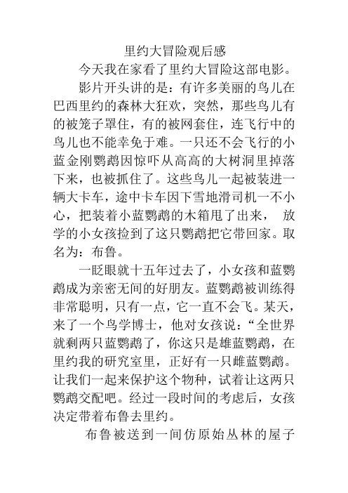里约大冒险观后感
