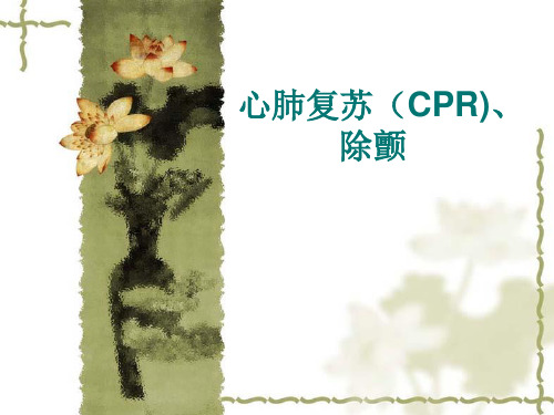 CPR、除颤、心肺复苏