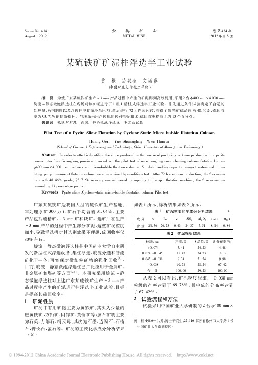 某硫铁矿矿泥柱浮选半工业试验