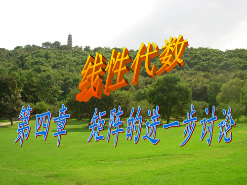 那么称为矩阵的最高阶非零子式