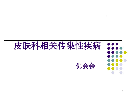 皮肤科相关传染性疾病PPT课件