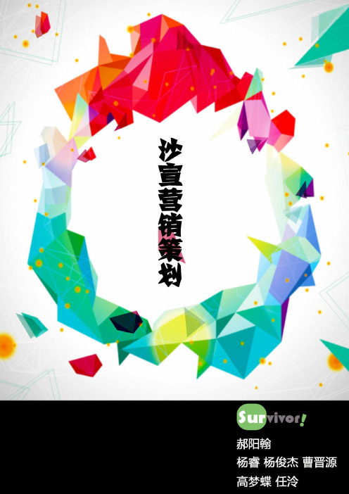 宝洁商战沙宣营销策划案